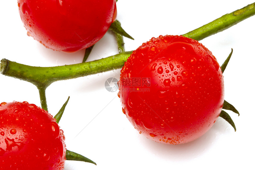 白背景樱桃西红柿沙拉盘子饮食收成叶子团体宏观农业市场花园图片