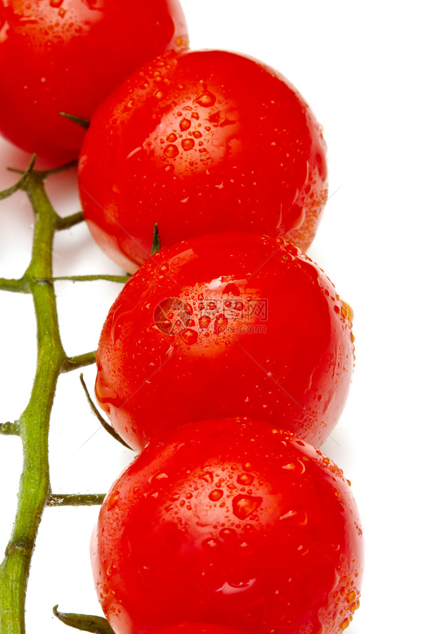 白背景樱桃西红柿蔬菜沙拉盘子农业宏观烹饪饮食叶子团体茶点图片