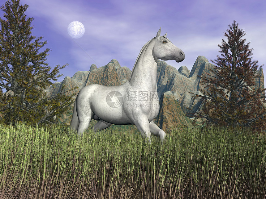 草地上的白马3D制成图片