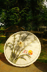 伞式雨伞文化手工商业工匠遗产传统工艺风俗背景图片