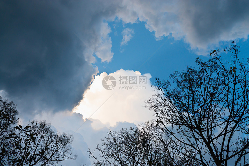 蓝天的暴云天气力量灾难气候森林精神气象太阳蓝色季节图片