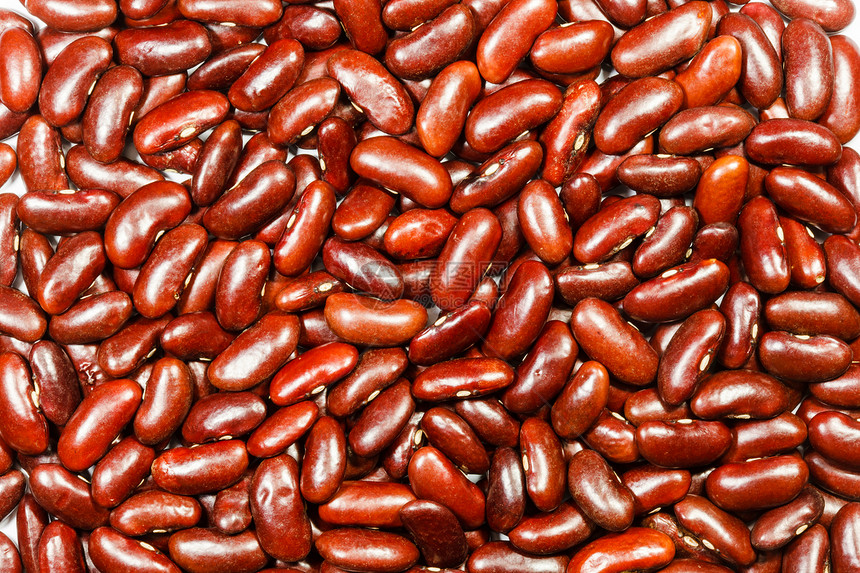 红肾豆粮食坚果饮食食物豆类种子营养红色植物宏观图片