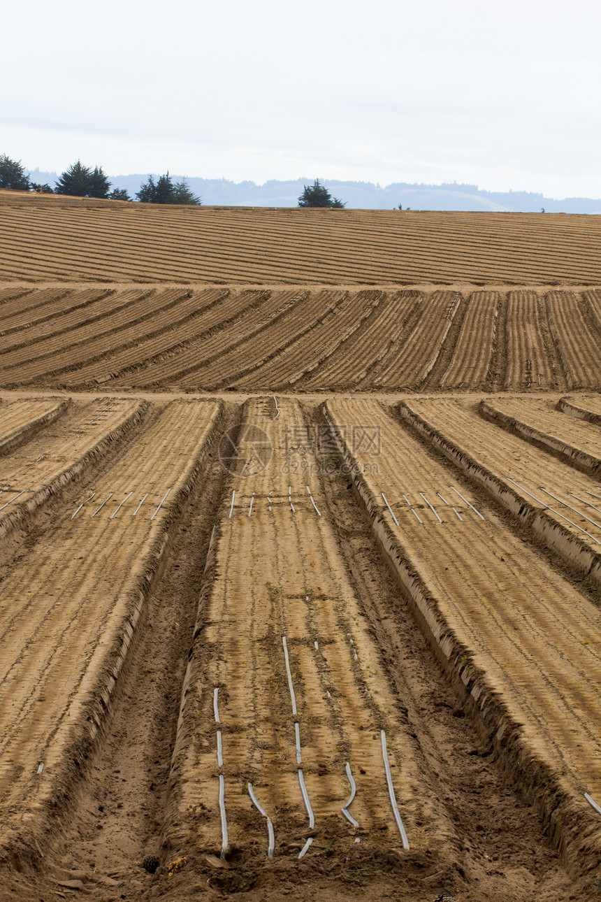 耕地种植地农作物棕色土壤覆盖物环境保护战壕乡村图像植物眉头图片