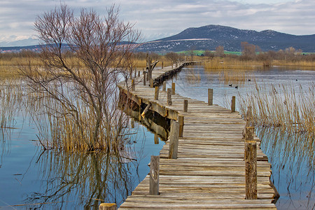 弗拉瓦拉瓦拉纳湖自然公园木板路背景