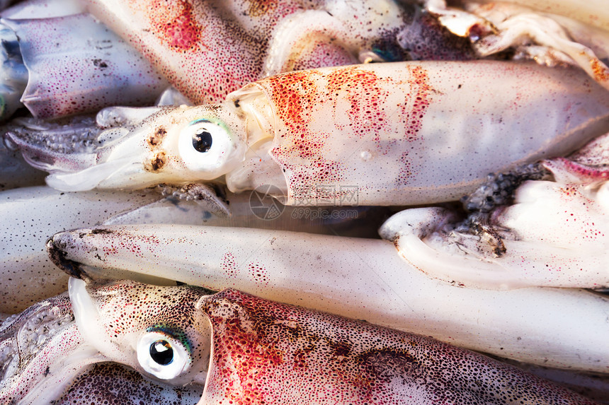 新鲜鱿鱼荒野乌贼触手烹饪海鲜探者食物生活钓鱼海浪图片