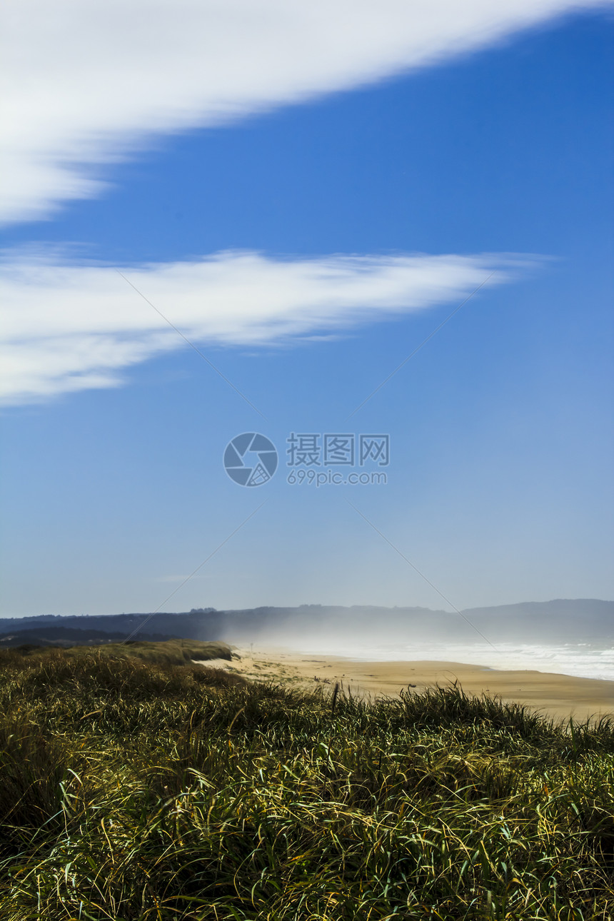 太平洋海岸薄雾图片