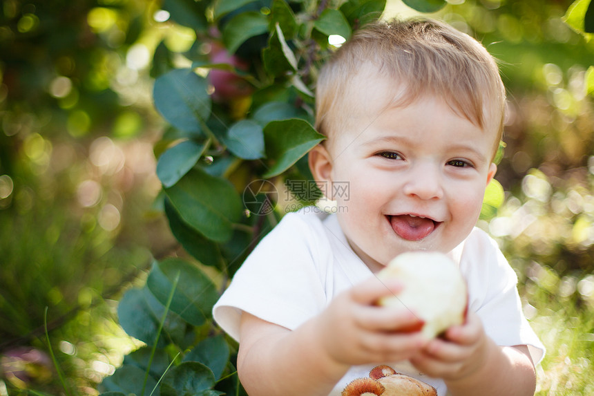 吃苹果的婴儿果园食物家庭孩子收成男生晴天孩子们童年场地图片