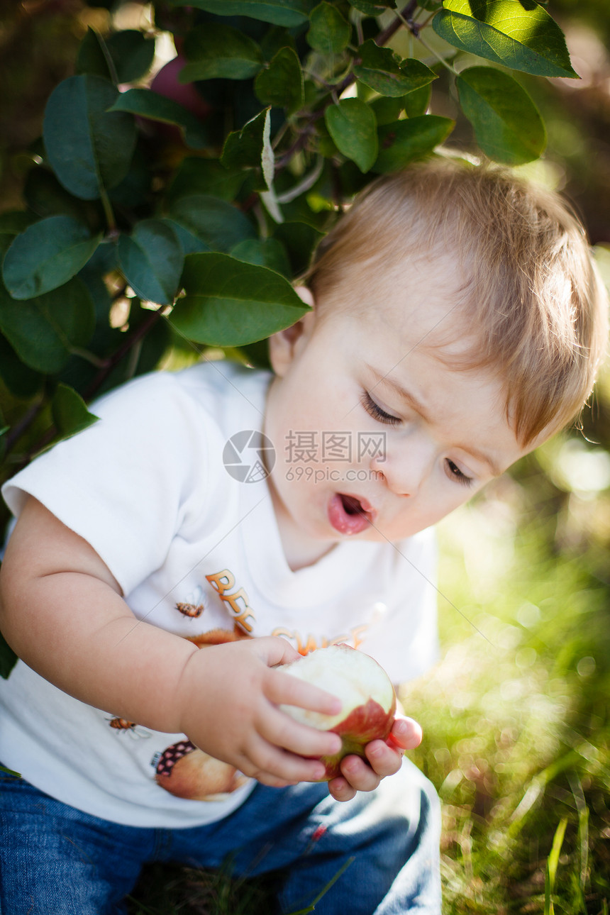 吃苹果的婴儿果园孩子们童年水果家庭食物晴天孩子收成男生图片