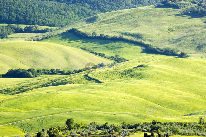 春季的绿色典型土瓜风景植被农田植物环境草地收成阴影农村金子日落图片