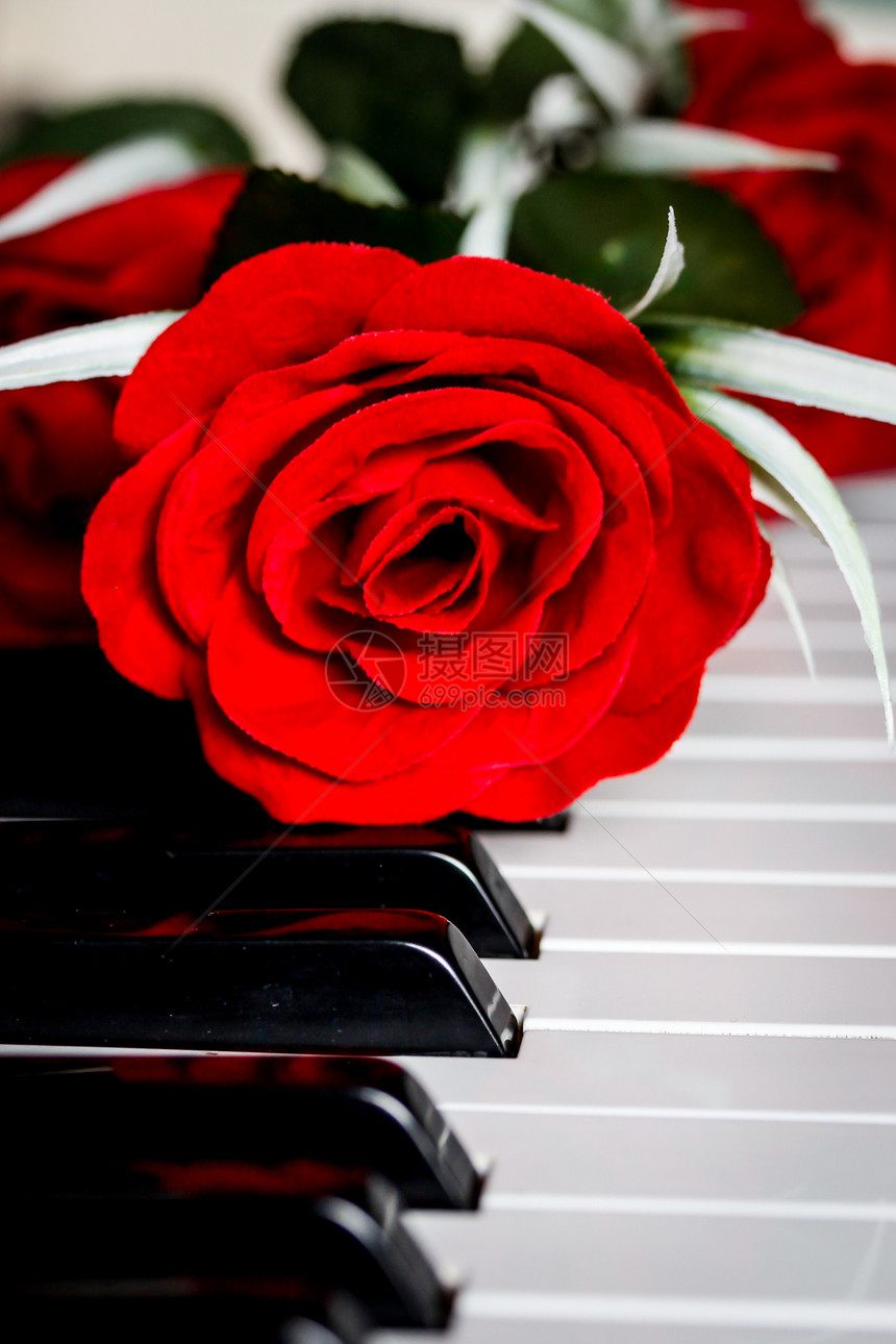 钢琴上的红玫瑰图片