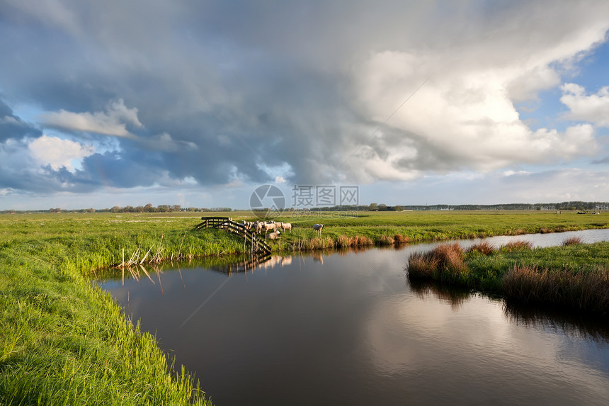 在荷兰农田上空的云层上撒羊牧羊图片