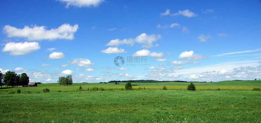 横向景观环境叶子生长草地场地场景土地蓝色天堂农村图片