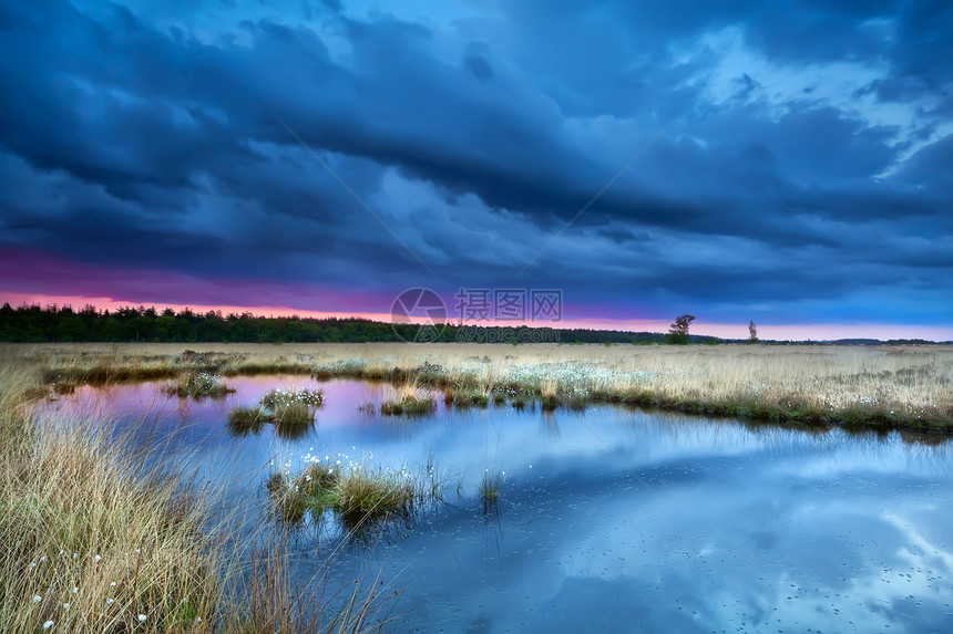 日落时 在沼泽的暴雨中图片