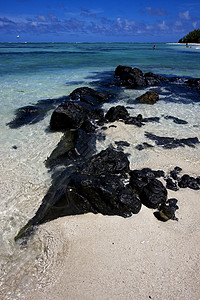 浅蓝色的天空人和降落伞的升降地蓝色支撑低潮岩石天空海岸线木头阴影海洋海滩背景