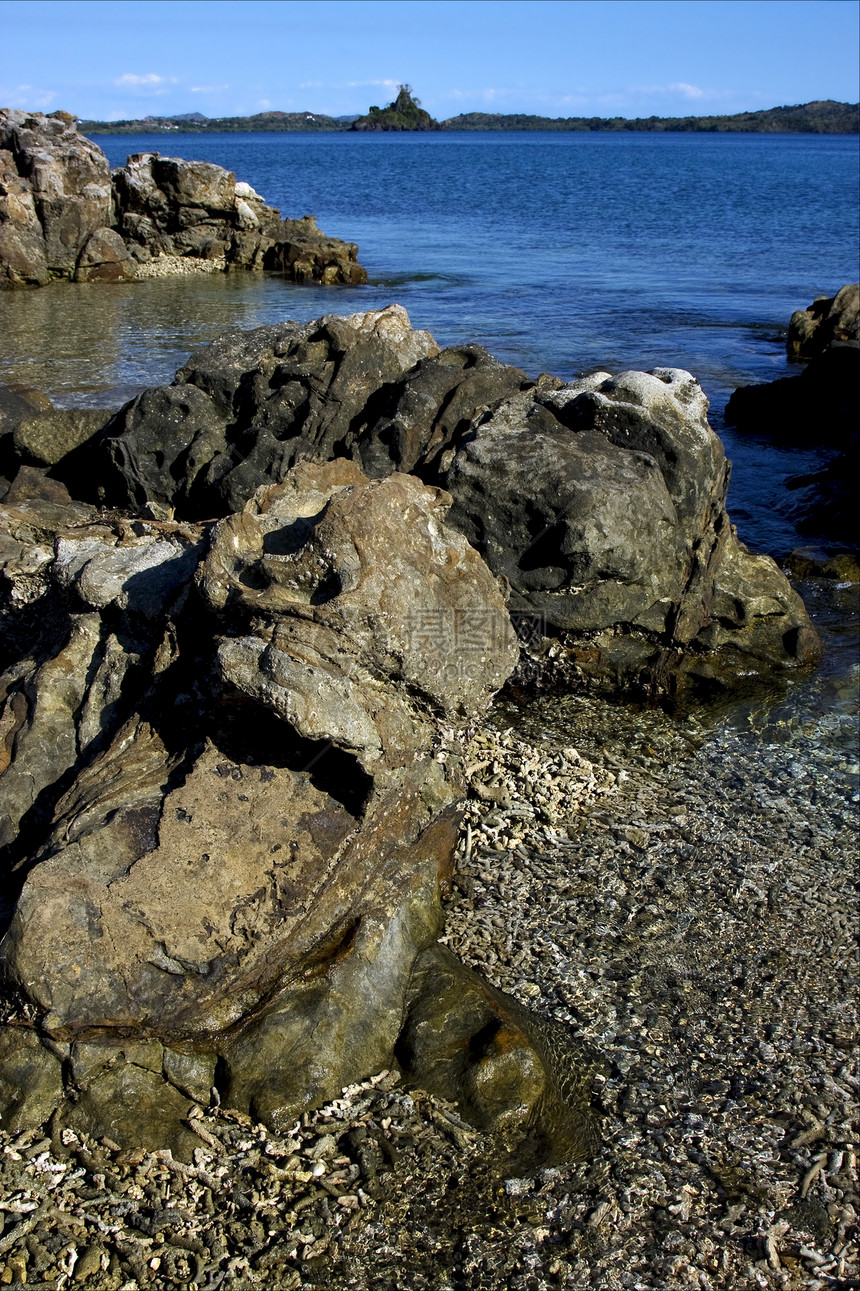石头和岩石海藻植物浅蓝色天空泡沫木头衬套种植园真子树木图片