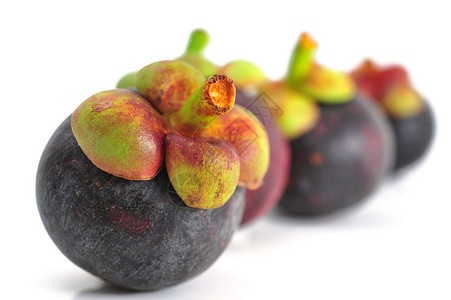 芒果气候山竹甜食紫色热带水果背景图片