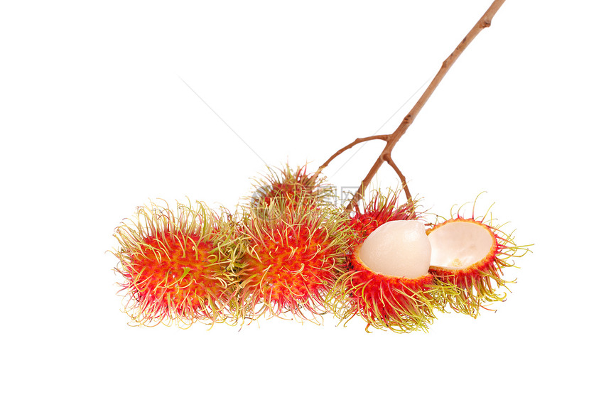 白背景孤立的拉姆布丹水果热带白色红色甜点头发市场皮肤食物营养异国图片