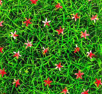 红花缝合的人工造草背景图片