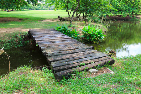 公园中的木环桥荒野绿色森林木头高清图片