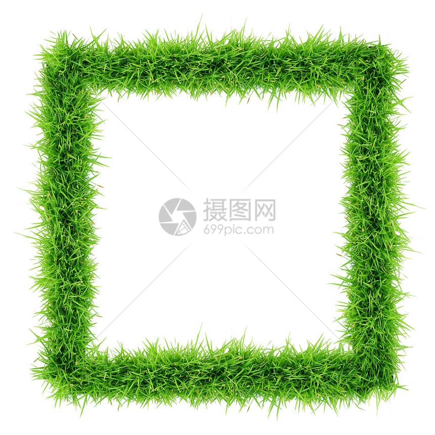 草根框架场地绿色长方形环境叶子相框植物草地正方形草皮图片