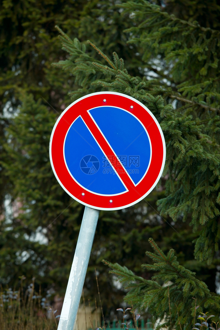 不停车绿色路标运输树叶警告标志交通衬套公园驾驶图片