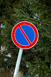 不停车绿色路标运输树叶警告标志交通衬套公园驾驶背景图片