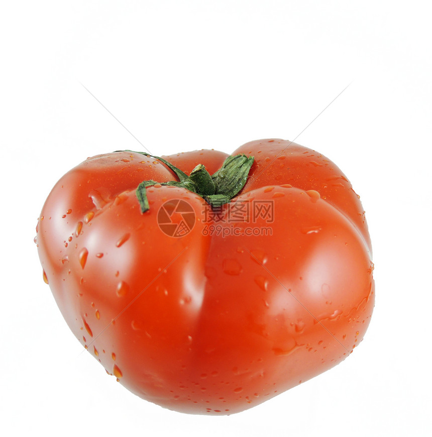 白色背景上孤立的番茄植物食物农业蔬菜叶子红色宏观绿色图片