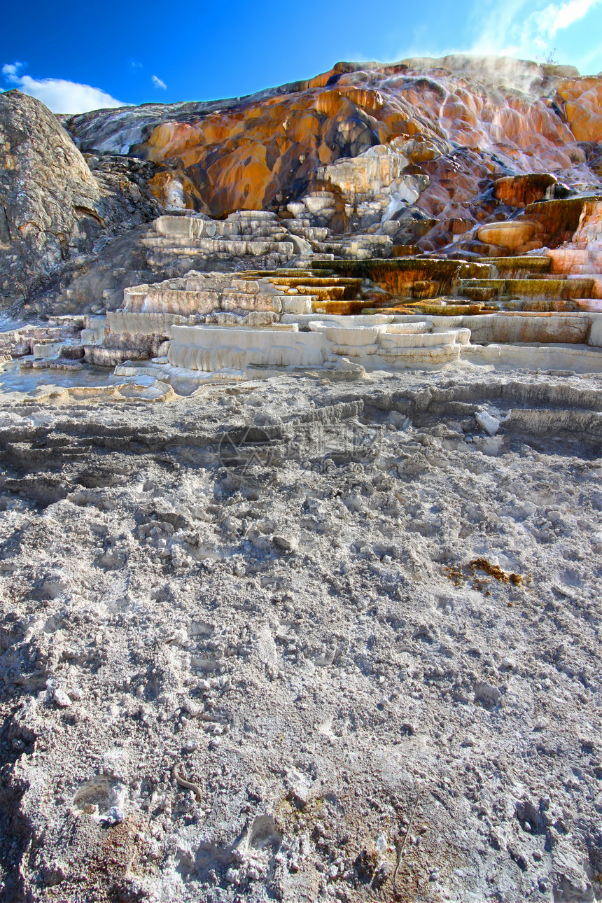 黄石公园麻母蜂温泉火山风景旅行喷泉细菌生态公园国家弹簧猛犸图片