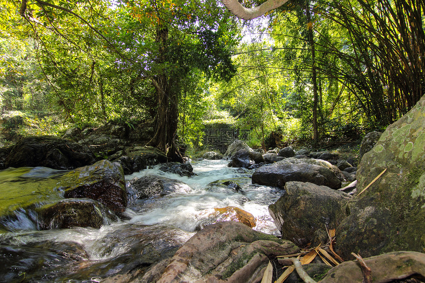 森林的瀑布公园叶子环境假期旅行植物生长木头旅游热带图片