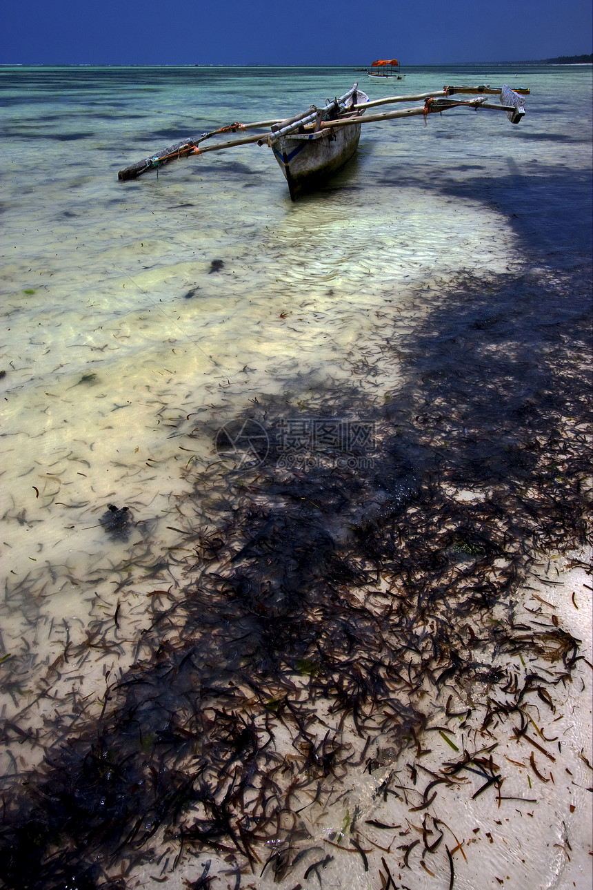 坦桑尼亚桑给巴尔岛的沙滩海草和船低潮天空泡沫海岸独木舟木头海藻波浪支撑小岛图片