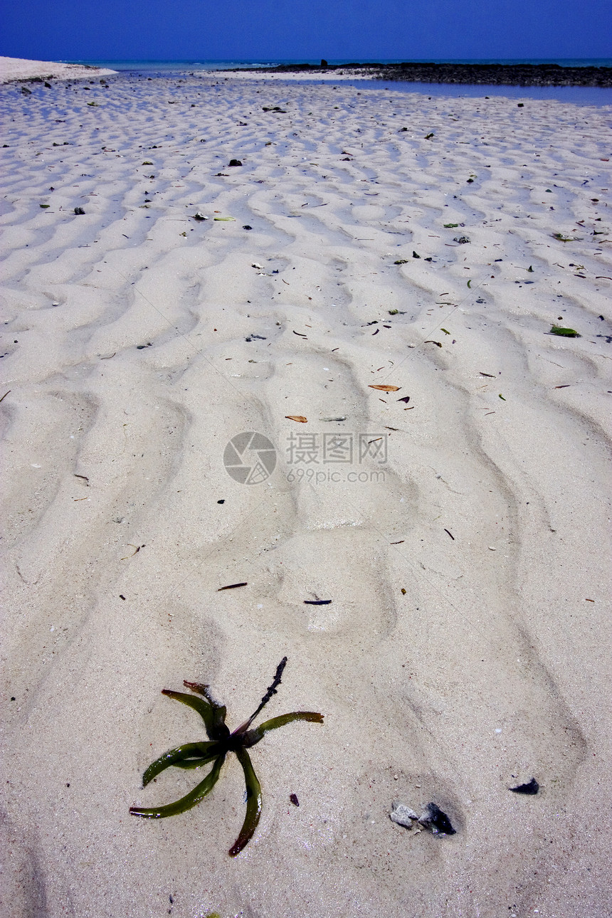 桑给巴尔沙滩和沙沙滩石头泡沫小岛黄色海洋低潮天空绿色海岸线黑色图片