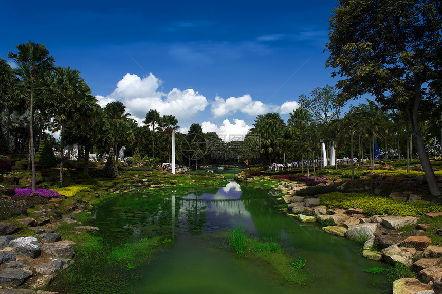 吊桥蓝色公园花园天空植物绿色热带植物群叶子图片