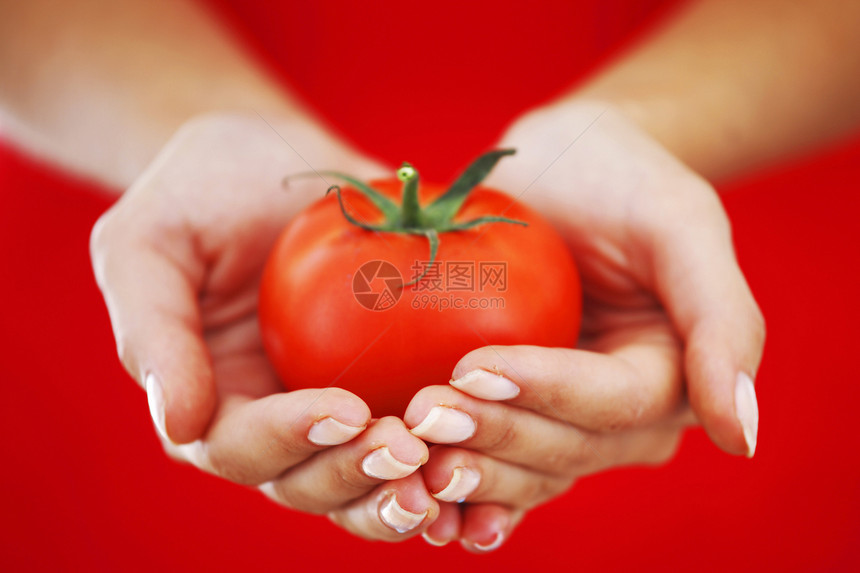 女性手中的西红柿花园蔬菜宏观女士叶子圆圈食物女孩烹饪美丽图片