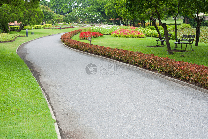 夏季热带花园风格途径装饰车道植物群公园植物学草地叶子小路图片