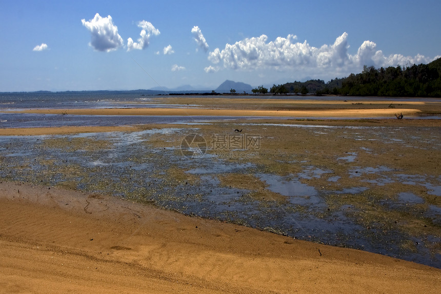 lokobe 保留区疯人院衬套海藻支撑植物小岛天空树木木头浅蓝色波浪图片