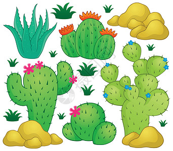 Cactus 主题图像 1背景图片