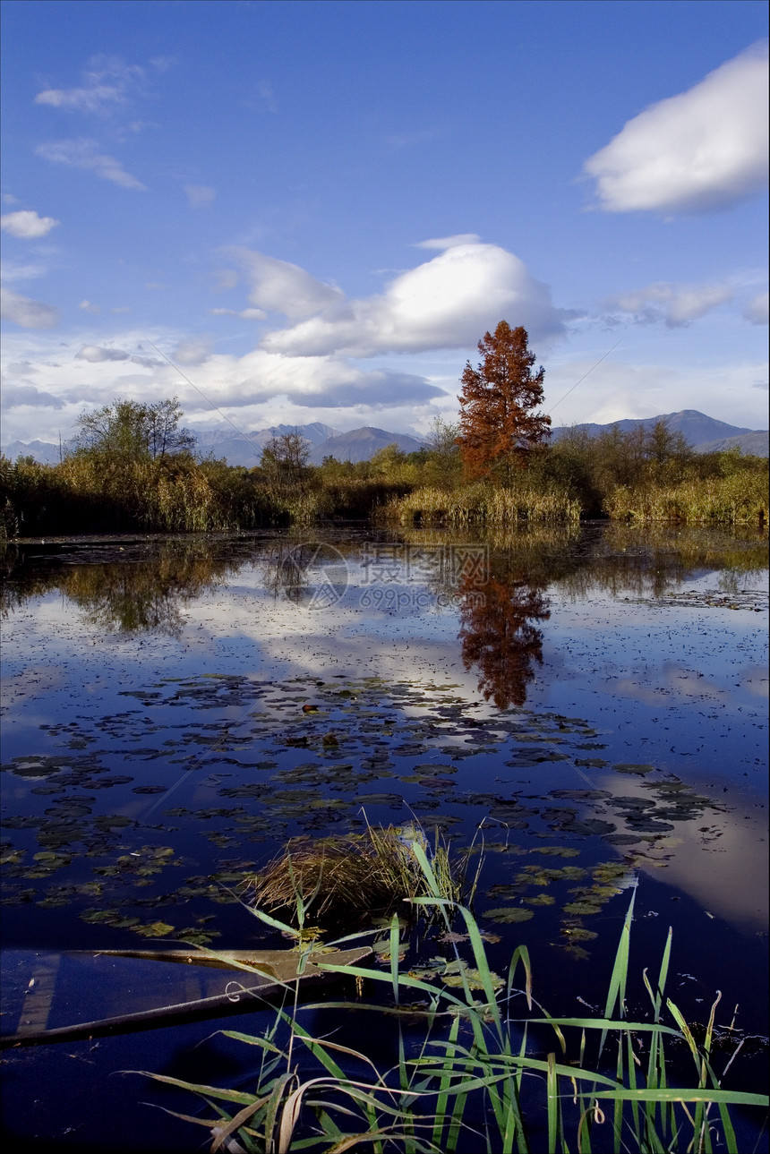 秋湖下坠落的船天空旅行蓝色阴影木头灌木丛反射沼泽叶子爬坡图片