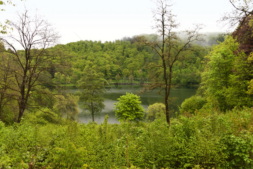 登山旅行小道Eifelsteig上树叶叶子水域木头丛林火山口森林绿色远足树木图片