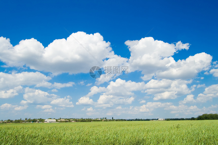 蓝色和绿色城市场地牧场植物美化天空季节阳光土地太阳图片