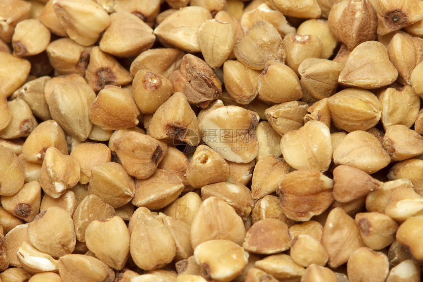 巴克热棕色营养植物食物谷物收成文化种子白色烹饪图片
