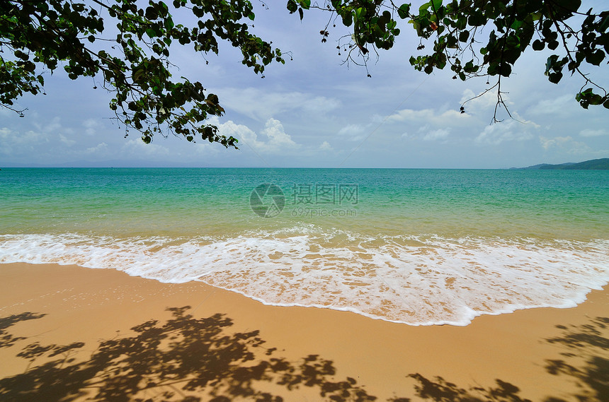 有海背景的漂亮海滩绿色农村假期泡沫旅游蓝色旅行海浪海洋阴影图片