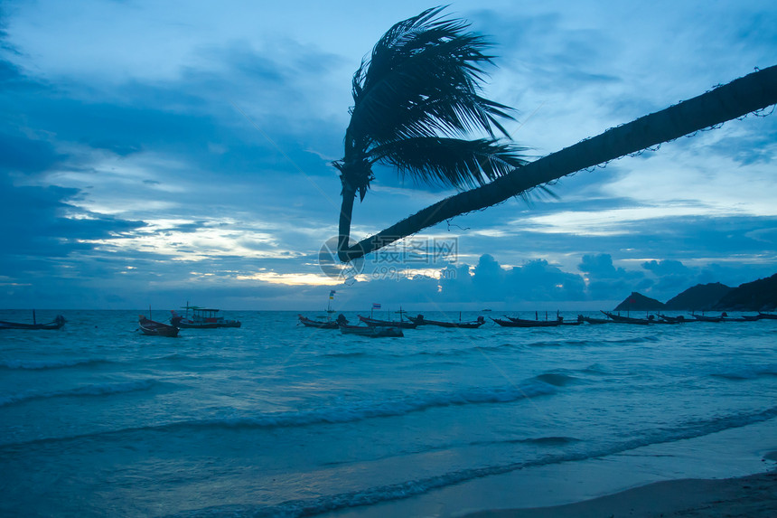 带棕榈的热带热带海滩支撑太阳海浪海景叶子海岸海洋旅行蓝色木头图片