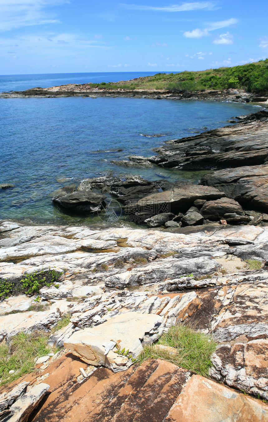 泰国沙美岛植被海滩植物植物群波浪冲浪青色阳光晴天海岸线图片