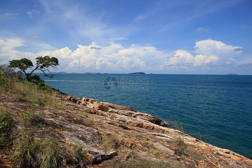 泰国沙美岛海滩叶子石头树叶植物植物群波浪青色蓝色晴天图片