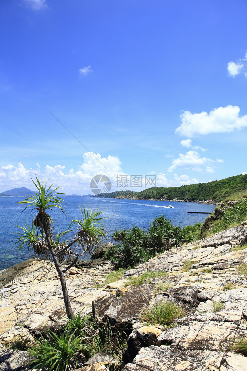 泰国沙美岛蓝色石头植物全景反射植被阳光冲浪晴天植物群图片