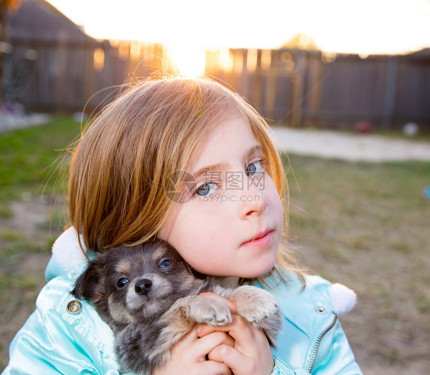 与小狗吉娃娃玩耍的童女毛皮友谊拥抱女孩孩子幸福宠物童年吉祥物朋友图片