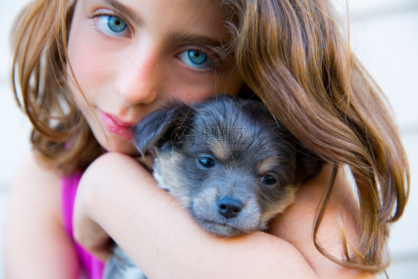 女孩拥抱一只小狗 小狗灰白毛发的吉娃娃宠物毛皮吉祥物尺寸蓝色婴儿犬类孩子女性幸福图片