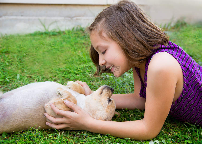 女孩在草坪上玩吉华小狗拥抱朋友金发婴儿尺寸幸福毛皮别针快乐吉祥物图片