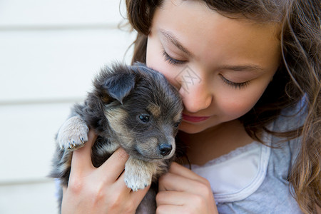 女孩拥抱一只小狗 小狗灰白毛发的吉娃娃吉祥物犬类尺寸宠物黑发后院毛皮孩子们童年孩子背景图片