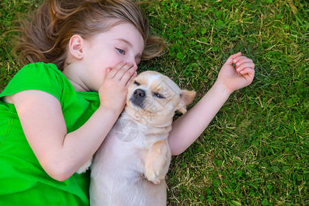 吉帕金发快乐的女孩 带着她的吉华华小狗肖像拥抱耳语毛皮孩子们后院吉祥物幸福秘密朋友尺寸背景